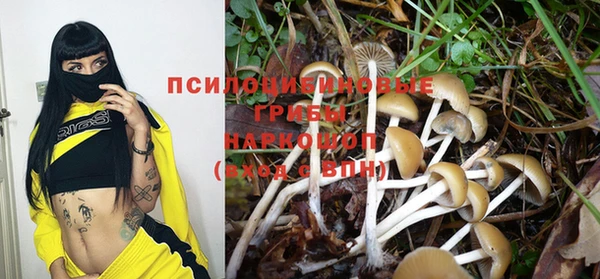 a pvp Белоозёрский