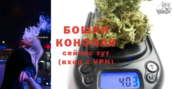 гидра Баксан