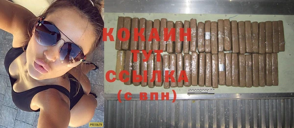 дживик Белокуриха