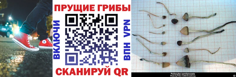Псилоцибиновые грибы ЛСД  Купить где  Малоархангельск 